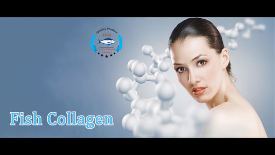 HALAL Niskocząsteczkowy hydrolizowany proszek kolagenu wołowego