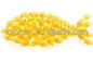 CAS 9000-70-8 Rybia łuska jadalna żelatyna rybna w proszku