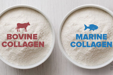 Naturalny proszek kolagenu w skali ryb, Hydrolizowany proszek żelatyny Tilapia